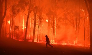 500 Million Animals Dead in Australian Fires – A Vegan Rant